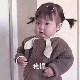 整人套路表情包我养你啊宝贝