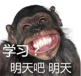 当了这么多年开学恐惧症患者,我终于靠这套表情包洗脑自救成功