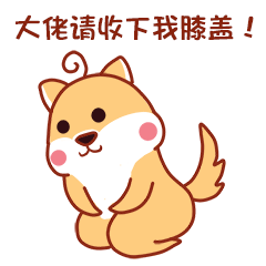 非常好玩的小柴君qq表情图片