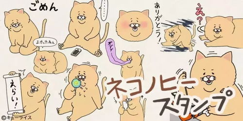 这只猫红遍了日本,居然是因为它的丧