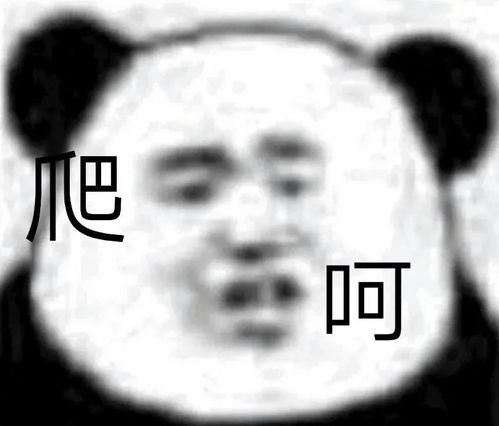 超级搞怪又沙雕的表情包来啦