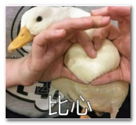 崩溃厦门10岁女孩玩游戏半个月充值三万五,8岁男孩两天花掉家里房租钱家长急哭熊孩子到底怎么治