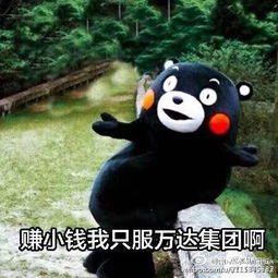 王健林定下的小目标,小新已经完成了