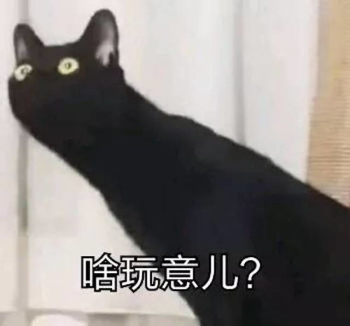 你们知道如何给自己取一个优雅的日本名字吗哈哈哈果然高手在民间