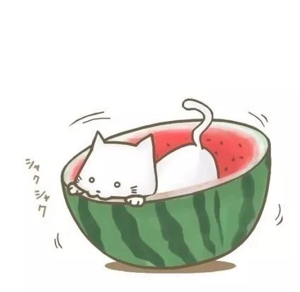 这个夏天,龙卡遇见美食