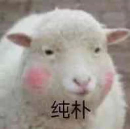 表情包丨嘘,我来偷哥哥的心了
