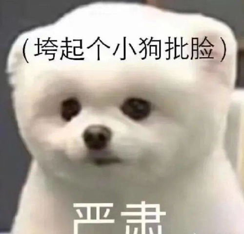 男子错把脚垫当菜板,投诉店家产品太软2020年度电商沙雕新闻大赏真的太好笑了