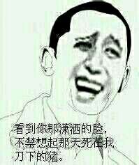 哪个美丽些求回答