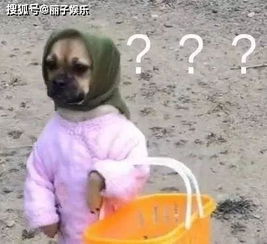 搞笑gif监考老师我感觉你有点狂啊