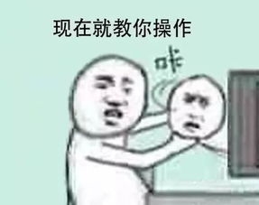 宁静讽刺马苏嘲讽赵丽颖,承认做小三,她才是真社会
