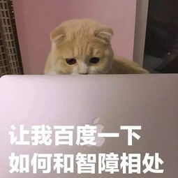 聊天表情包不愧是你,够菜