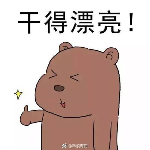 遂昌农村创业青年,免费的电商实务培训班火热报名中