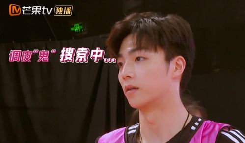 看了小巨人运动会,网友跪求陈立农出育儿宝典