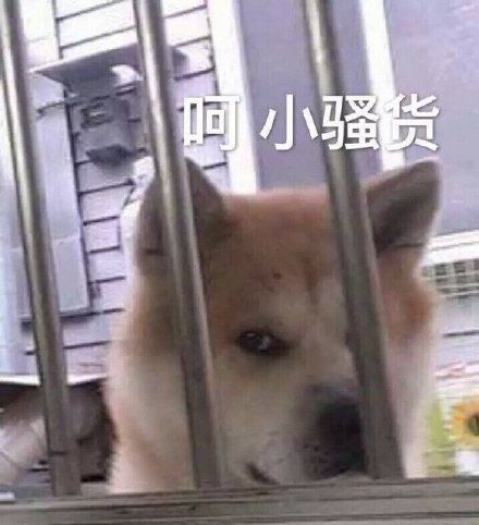 有哪些日常好玩的沙雕表情包