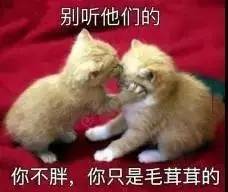 汪汪汪我再说一遍,古代七夕节,真的不是情人节啊,汪汪汪