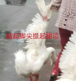 在男友购物车发现出轨细节以为我被绿了,结果...