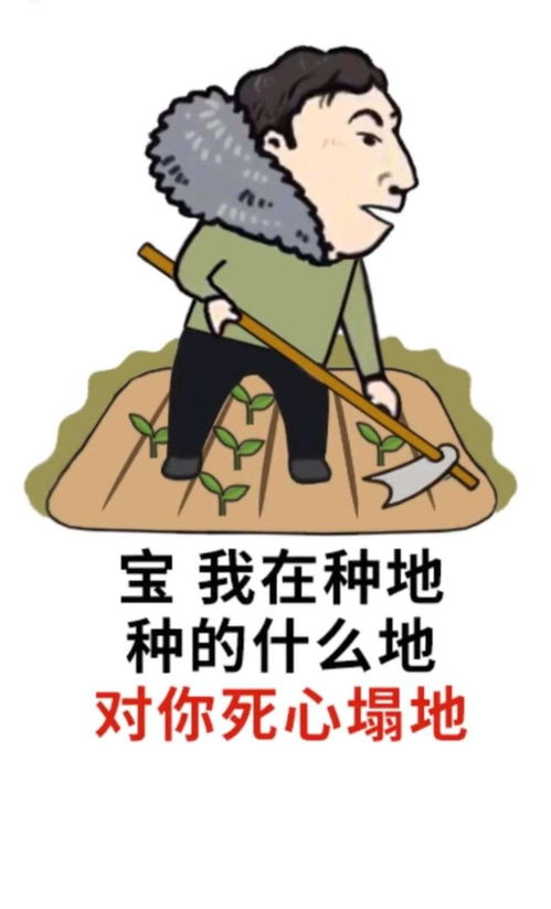 聊天表情包搞笑图片王思聪