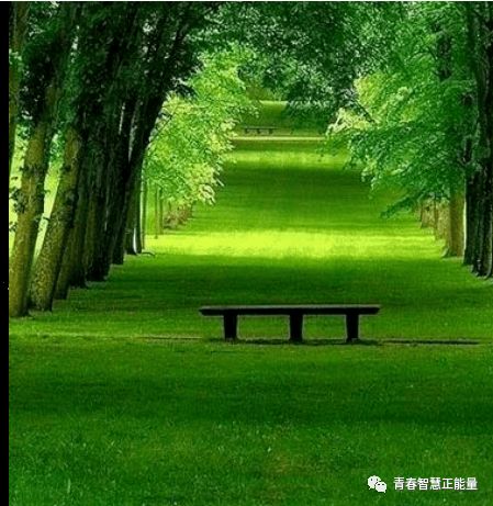 路口哨曲