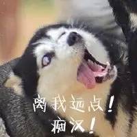 96年的傅园慧,显然已成为了新一代表情包的扛把子