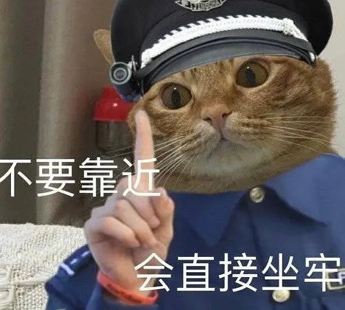刚看灵儿直播回放,是什么爽文女主
