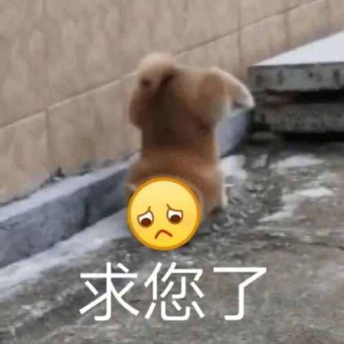 表情包可爱沙雕表情包32张