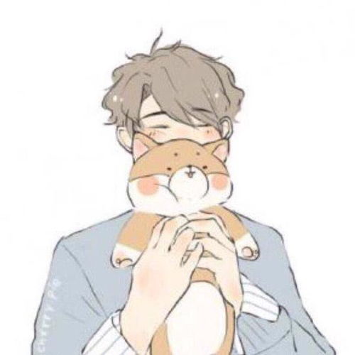 一男一女抱着猫的的情侣头像
