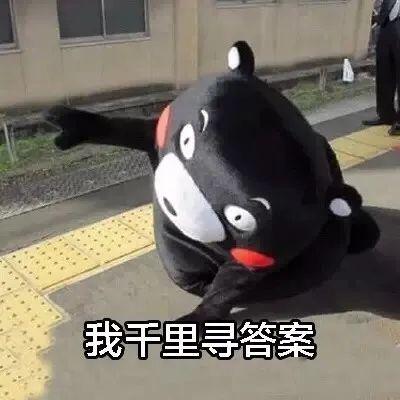 嫂子肚子都大了,象山还不能摆喜酒官方回复...