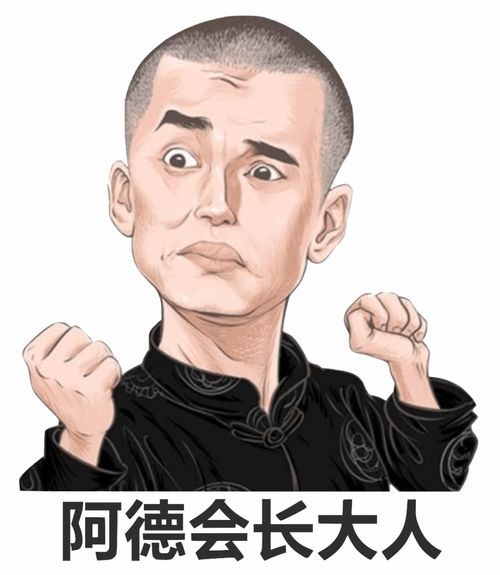 线下活动终于回来了森林还是大海,地点你来选会长大人带你冲冲冲