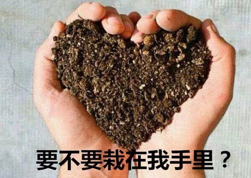 斗图必备表情包丨我累了真的累了