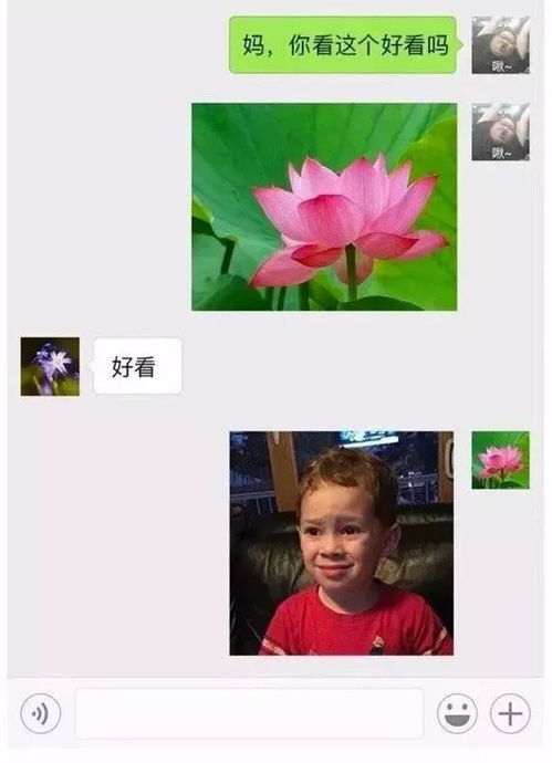 妈妈因为女儿的微信头像要断绝母女关系,更夸张的是