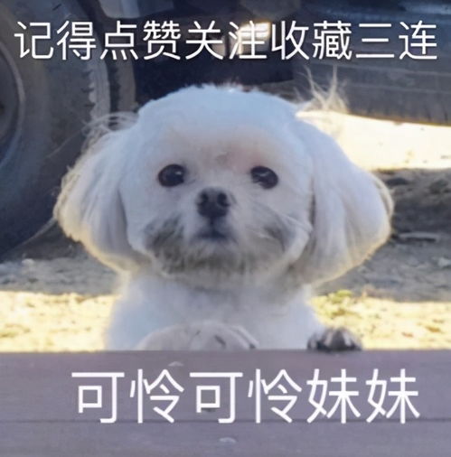 wildfieldhealth为什么健身的人吃煮鸡蛋只吃蛋白而不吃蛋黄