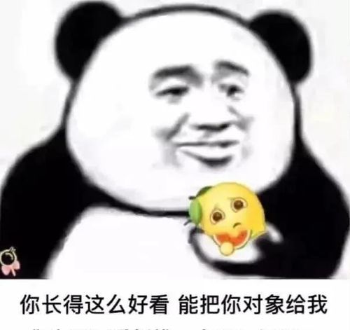 幽默搞笑表情包宝宝不会说我爱你不会说需要嘴对嘴教吗