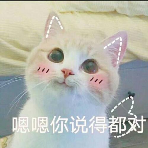 幽默笑话她妈问我现在消费那么高,小伙子每个月能挣多少钱
