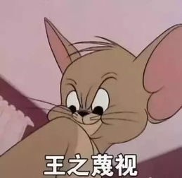 老鼠这条街的阿猫阿狗,我能一打十