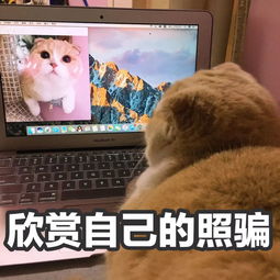 胖是工伤十大最容易发胖职业来了你中枪了吗