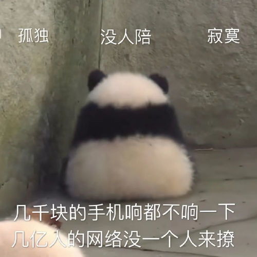 斗图表情包合集姐姐在干嘛