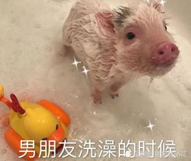 全网超火的搞男友表情包,分分钟让男友眼红,情敌酸掉牙