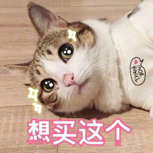 全体大名人放假通知这个月开始好日子就要来了