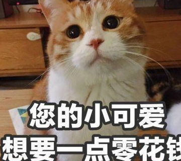 爆笑段子嗯,你藏在你媳妇大衣柜里的一万也要小心啊小孙