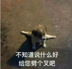 2022愚人节测试题,据说99的人第一题就挂了