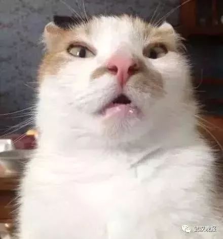 爸妈的拍照技术,是比男友拍照更让人窒息的卸妆水