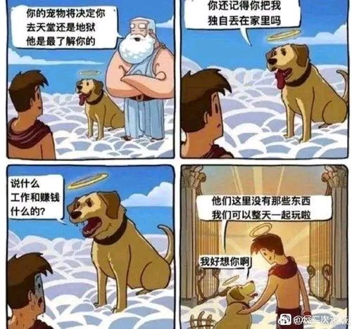 31梗图,沙雕图,memes,天堂笑话,表情包,搞笑图片,搞笑gif动图日更侵删哔哩哔哩