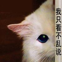 脑筋急转弯题
