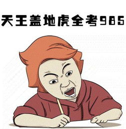 目标定的是985,结果只进了211,心有不甘想复读有必要吗