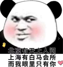 最近传播速度非常快的搞笑表情你好像对我这个靓女有意见呀