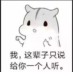 适合情侣官宣的句子,一人一条,低调霸气,真的好甜