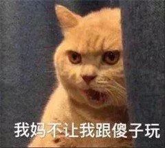 斗图表情包你去哪跟谁几点回回来还爱我吗