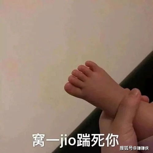 搞笑表情包图片信不信窝一jio踹洗你