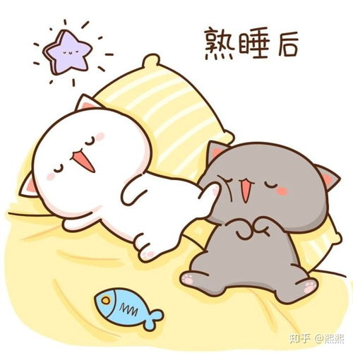 微信表情包进化史以四毛一二蜜桃猫为例