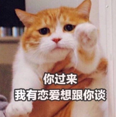 qq聊天专用表情比我优秀的人,比我努力一百倍